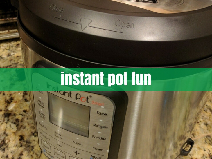 instant pot fun