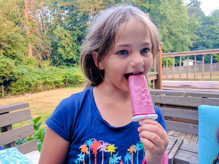 healthy blackberry popsicles