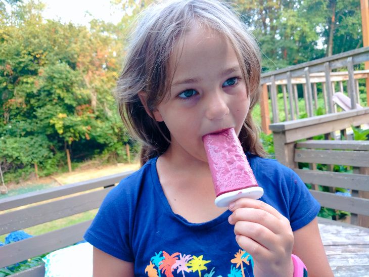 healthy blackberry popsicles