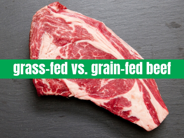 grass-feed beef better
