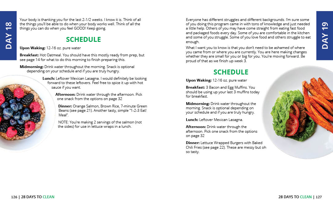 dail schedules example