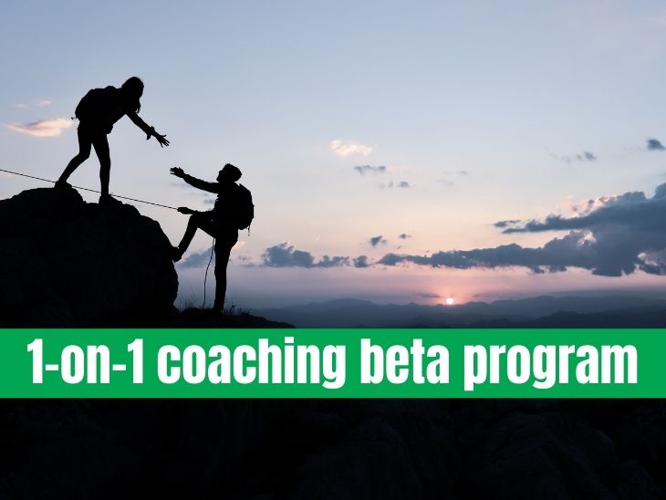 1-on-1 Coaching Beta Program