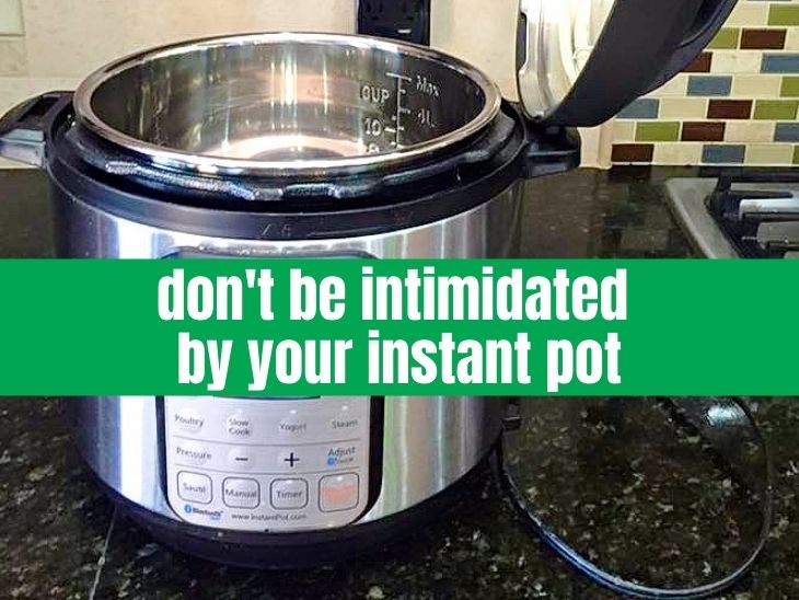 Why You Don’t Need To Be Intimidated by Your Instant Pot